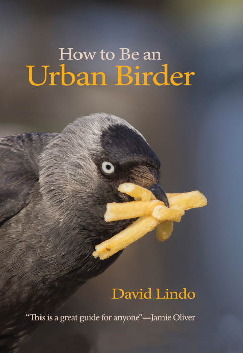 Cover image for book How to Be an Urban Birder
