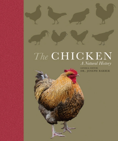 Cover image for book The Chicken