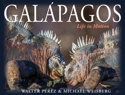 Cover image for book Galápagos