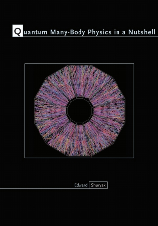 Quantum Many-Body Physics in a Nutshell