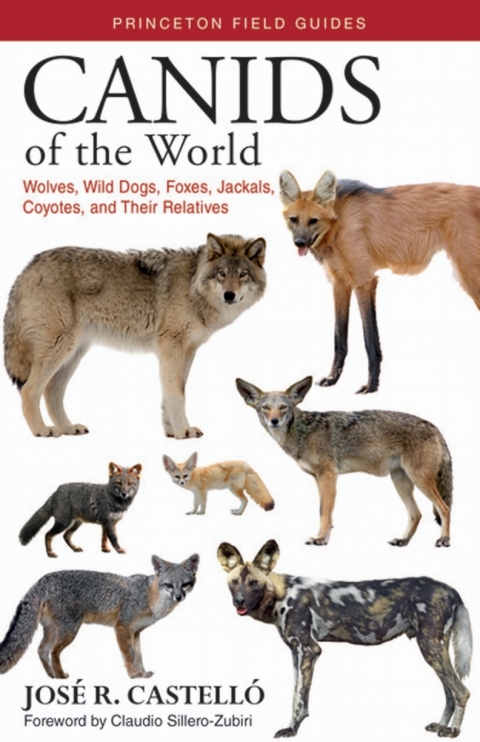 Cover image for book Canids of the World