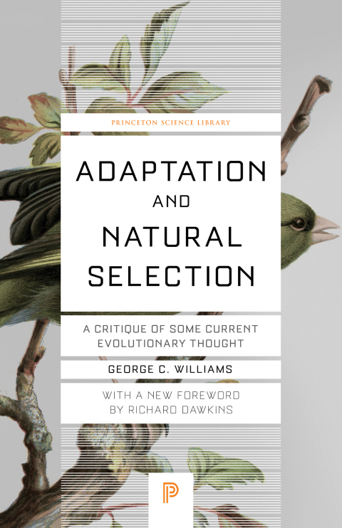 Adaptation and Natural Selection 