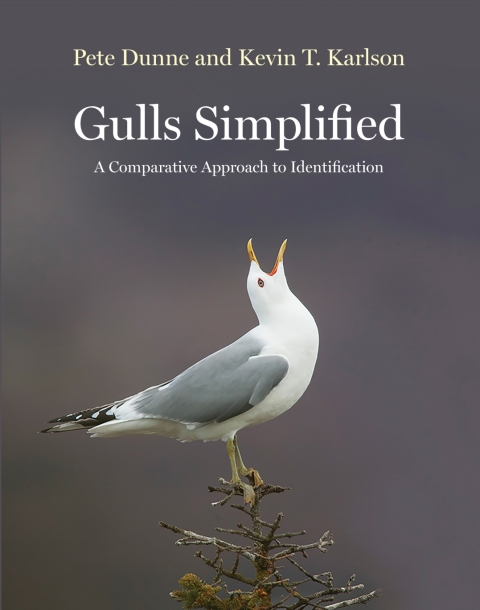 Cover image for book Gulls Simplified