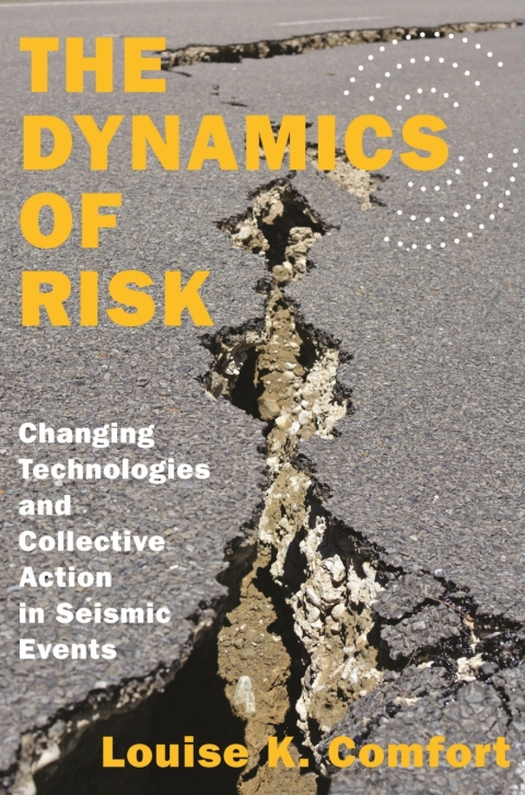 Cover image for book The Dynamics of Risk