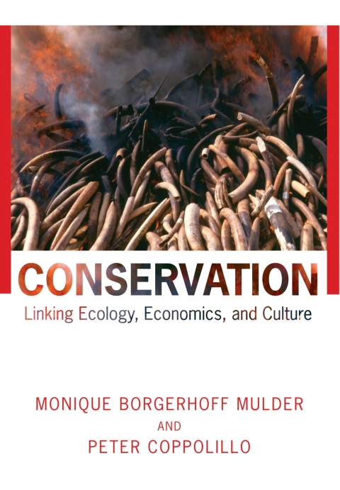 Cover image for book Conservation
