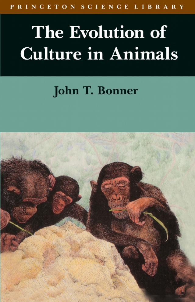 The Evolution of Culture in Animals