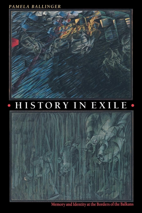 Cover image for book History in Exile