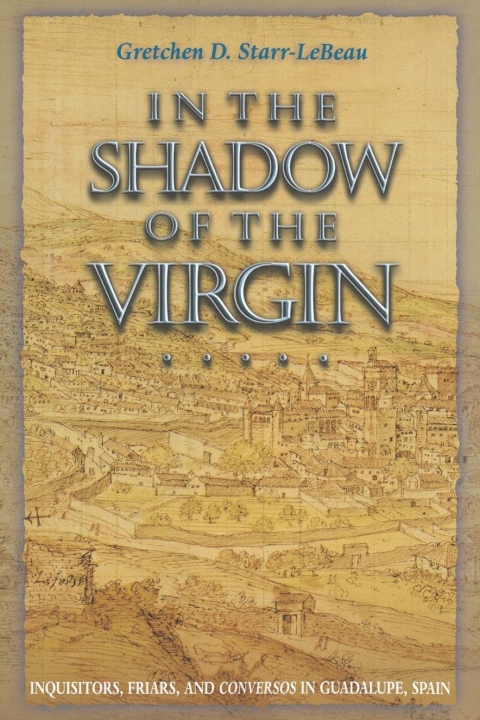 Cover image for book In the Shadow of the Virgin