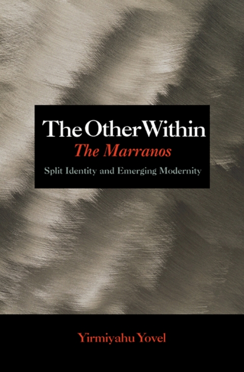 Cover image for book The Other Within