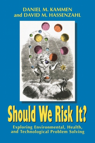 Should We Risk It?