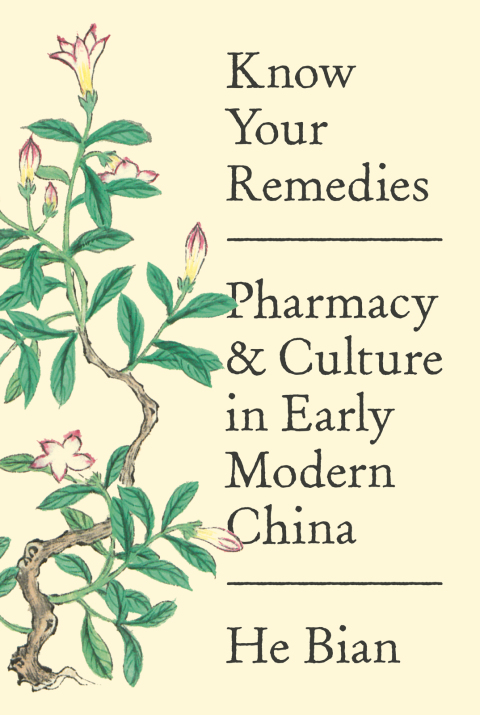 Cover image for book Know Your Remedies