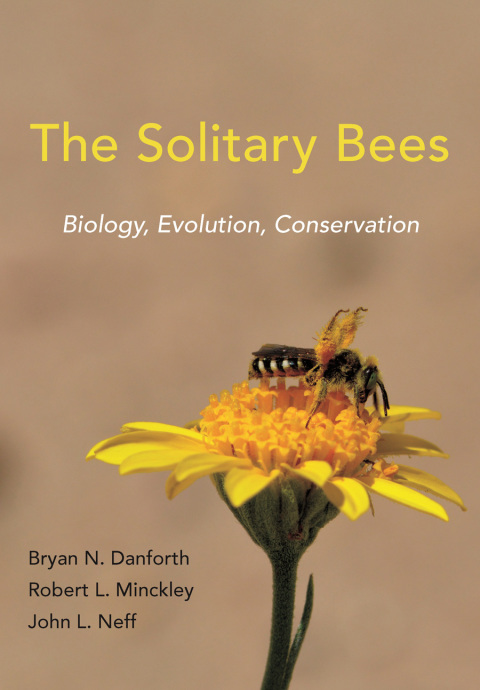 The Solitary Bees 