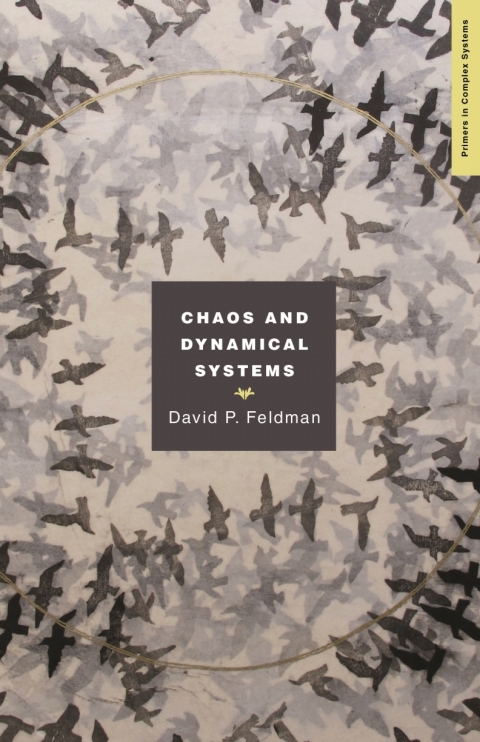 Chaos and Dynamical Systems 
