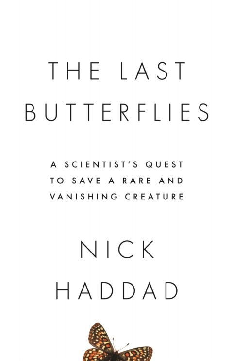 Cover image for book The Last Butterflies