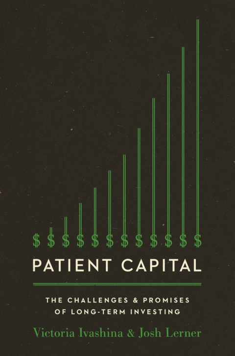 Cover image for book Patient Capital