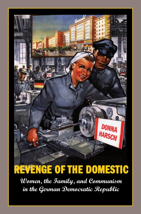 Cover image for book Revenge of the Domestic