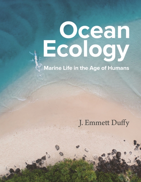 Cover image for book Ocean Ecology