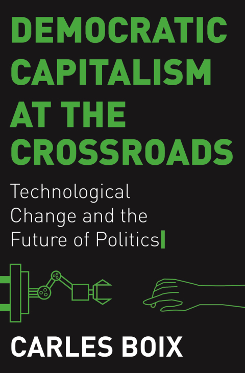 Cover image for book Democratic Capitalism at the Crossroads