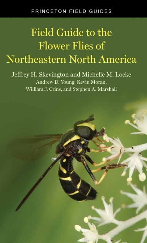 Field Guide to the Flower Flies of Northeastern North America 