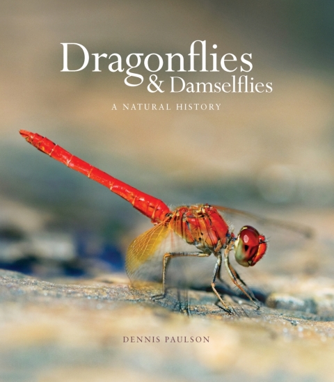 Cover image for book Dragonflies and Damselflies