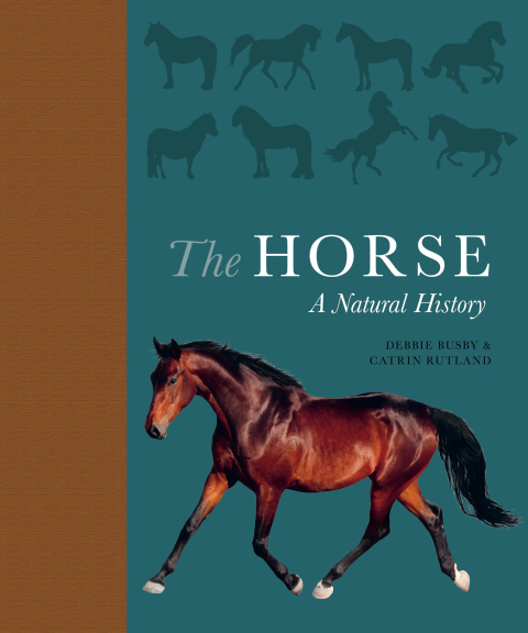 Cover image for book The Horse