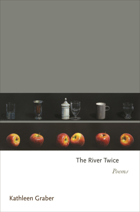 Cover image for book The River Twice