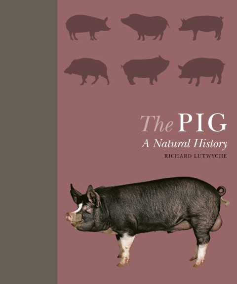 Cover image for book The Pig