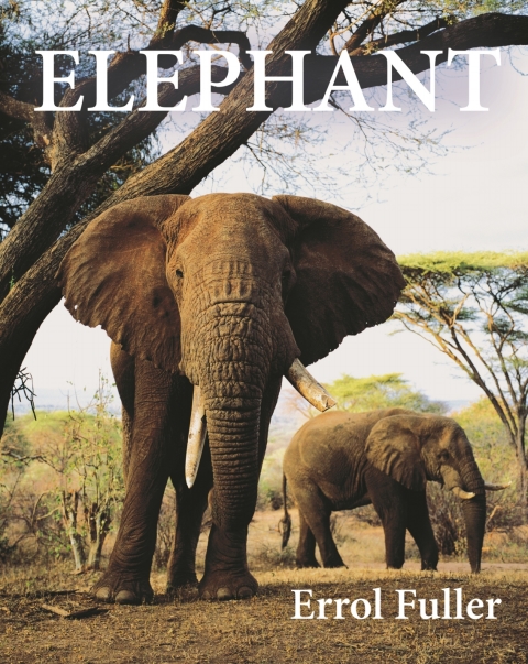 Cover image for book Elephant
