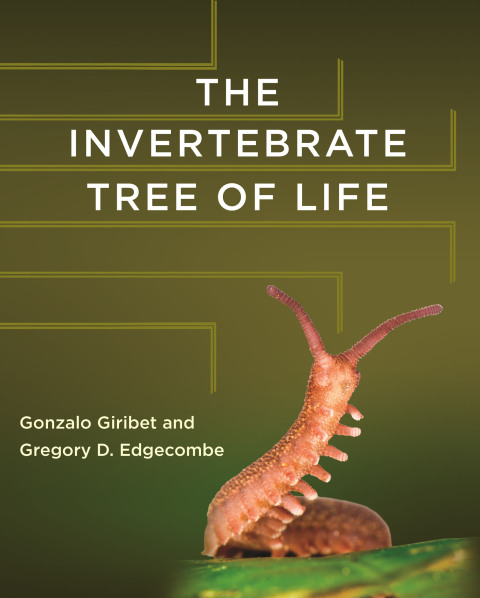 Cover image for book The Invertebrate Tree of Life
