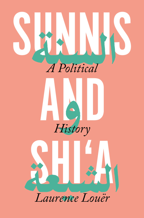 Cover image for book Sunnis and Shi'a