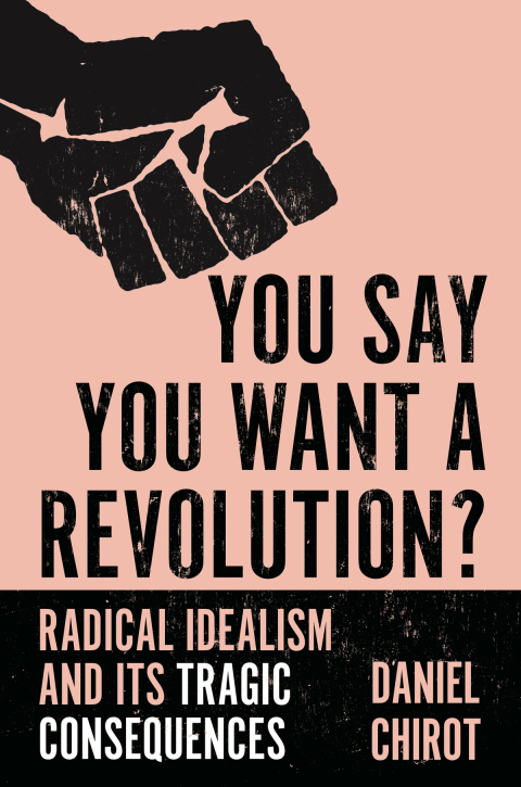Cover image for book You Say You Want a Revolution?