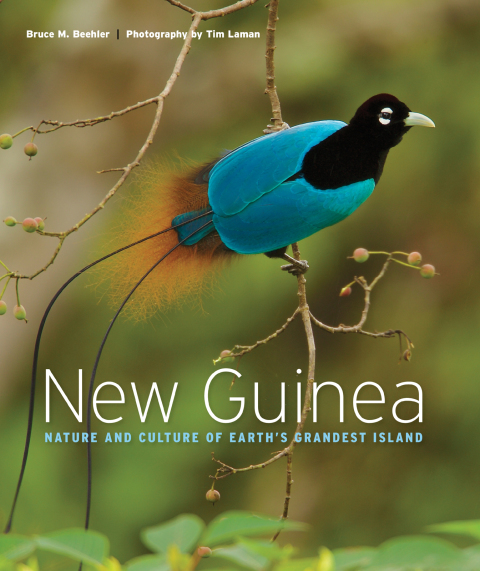 Cover image for book New Guinea