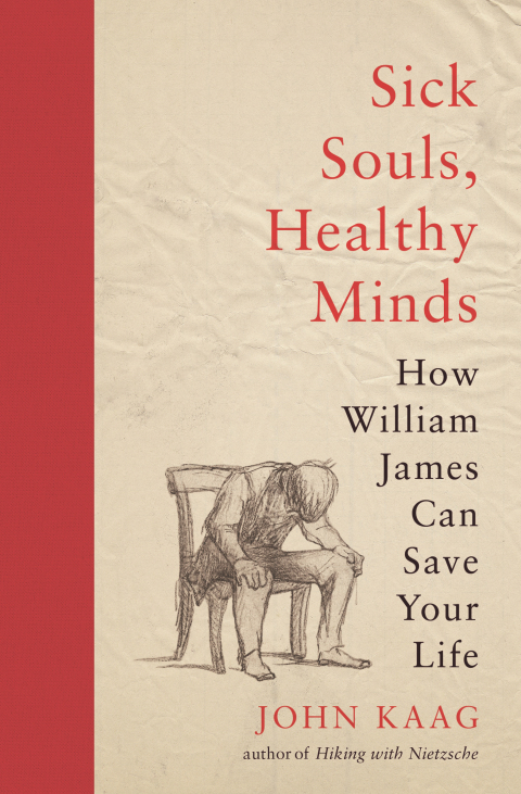 Cover image for book Sick Souls, Healthy Minds