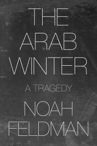 صورة الغلاف: The Arab Winter 9780691227931