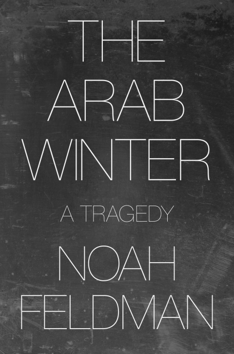 Cover image for book The Arab Winter