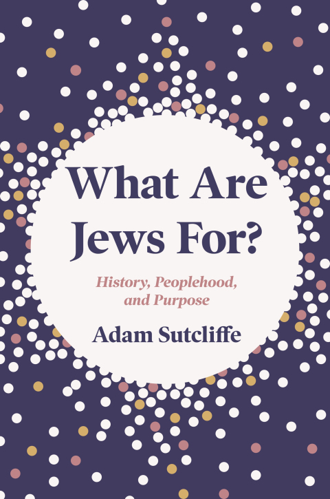Cover image for book What Are Jews For?