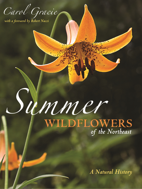 Cover image for book Summer Wildflowers of the Northeast