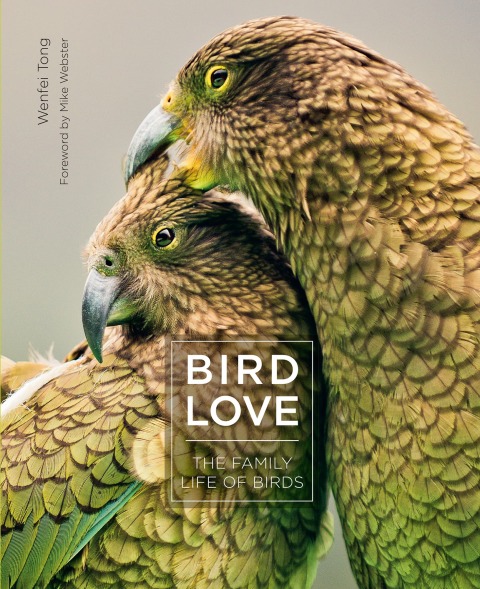 Cover image for book Bird Love