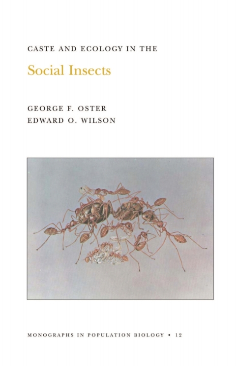 Caste and Ecology in the Social Insects 