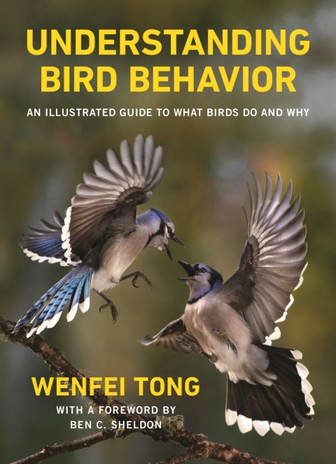 Understanding Bird Behavior | Bulldog Depot