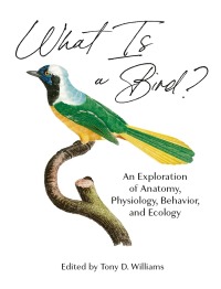 Imagen de portada: What Is a Bird? 9780691200163