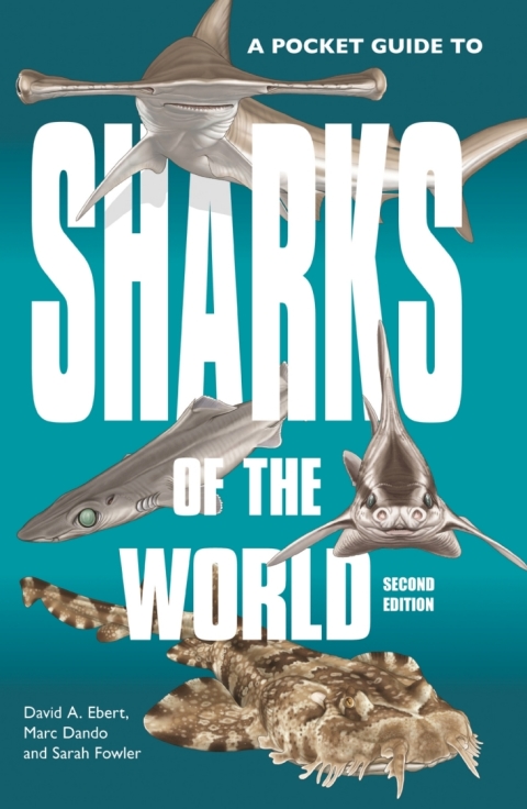 A Pocket Guide to Sharks of the World 