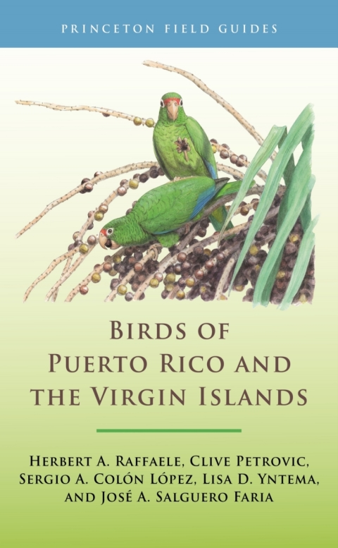 Birds of Puerto Rico and the Virgin Islands 