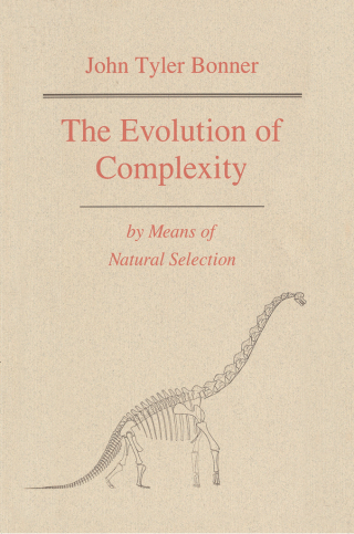 The Evolution of Complexity by Means of Natural Selection