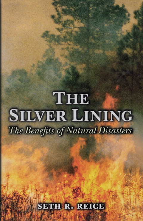 Cover image for book The Silver Lining