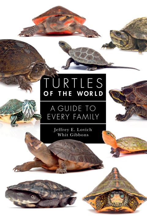 Turtles of the World 