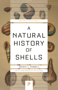Cover image: A Natural History of Shells 9780691229249