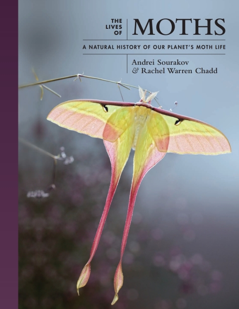 The Lives of Moths 