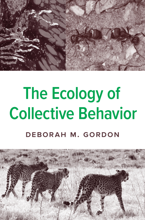 The Ecology of Collective Behavior 
