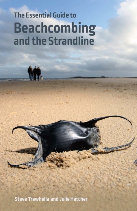 The Essential Guide to Beachcombing and the Strandline 